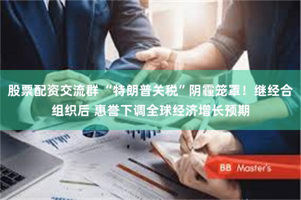 股票配资交流群 “特朗普关税”阴霾笼罩！继经合组织后 惠誉下调全球经济增长预期
