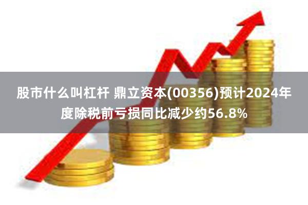 股市什么叫杠杆 鼎立资本(00356)预计2024年度除税前亏损同比减少约56.8%