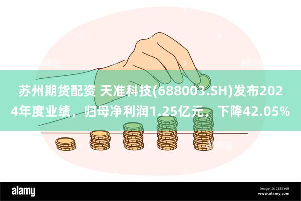 苏州期货配资 天准科技(688003.SH)发布2024年度业绩，归母净利润1.25亿元，下降42.05%