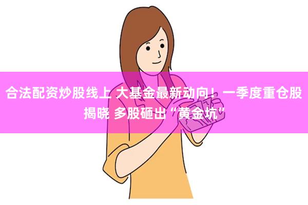 合法配资炒股线上 大基金最新动向！一季度重仓股揭晓 多股砸出“黄金坑”